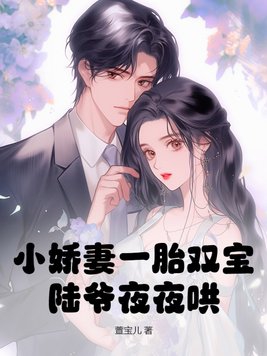 小娇妻一胎双宝,陆爷夜夜哄!