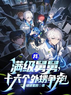 我,满级舅舅,十六个外甥争宠!